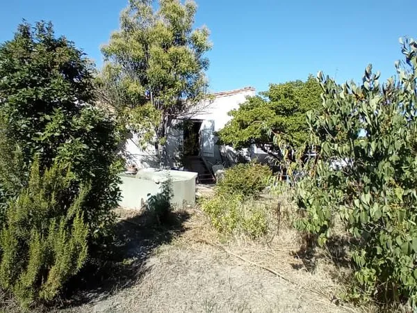 Beau terrain avec remise