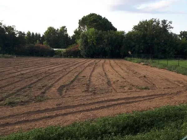 Terrain loisir