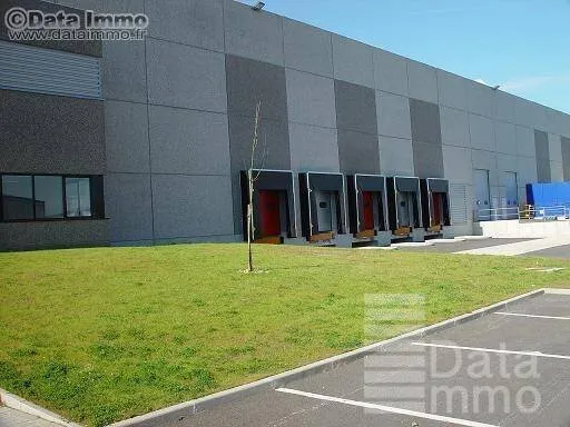 Entrepôt 15241 m²