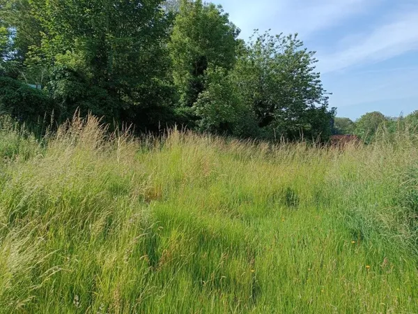SAINT VALERY EN CAUX, TERRAIN 915 m2