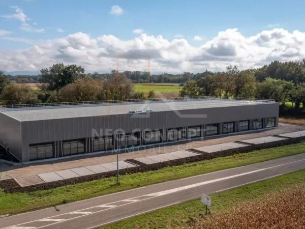 Local d’activité et entrepôt Location Sessenheim  270m² 1570€