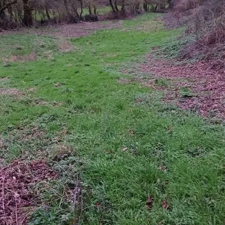 Terrain pour animaux