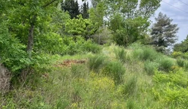 Terrain 782 m²