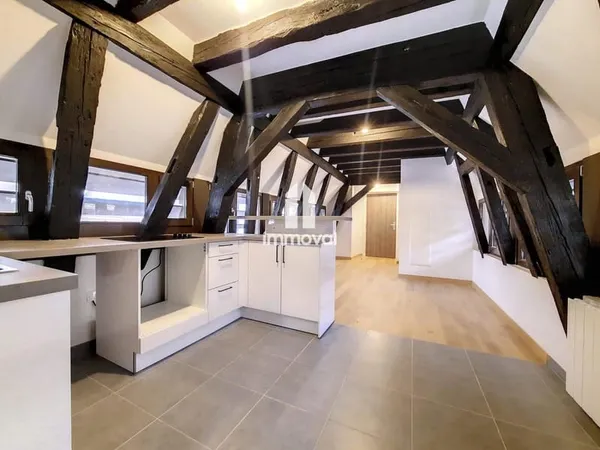 PETITE-FRANCE - STUDIO - 26.22m²