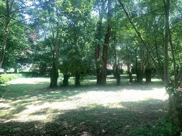 Terrain à bâtir Vente Lairoux  1525m² 76000€