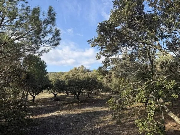 Terrain 1300 m²