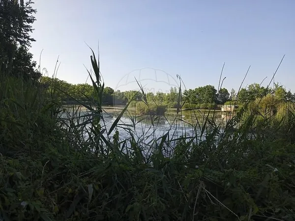Terrain 90000 m²