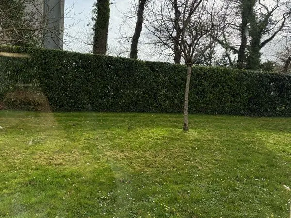 T2 42m2 Haut-Trait