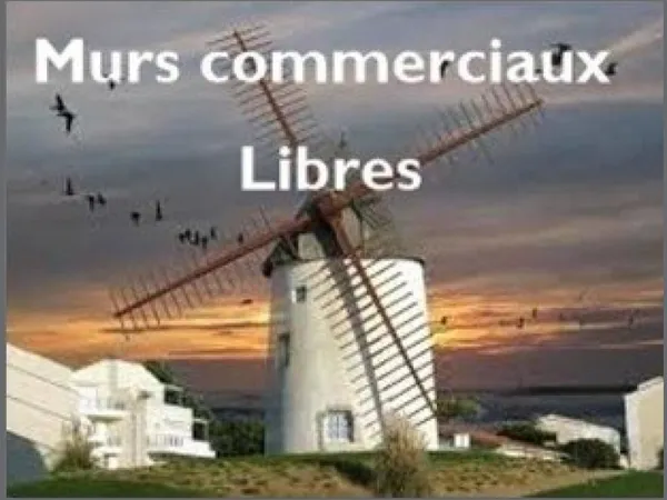Opportunité : local commercial à usage mixte ou habitation
