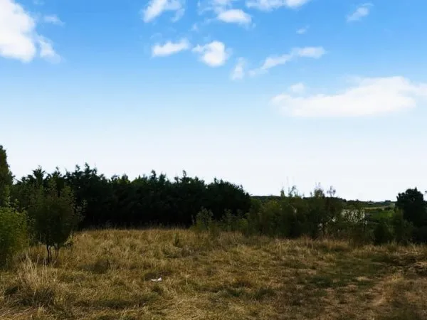 Terrain à bâtir Vente Langon  2327m² 69000€