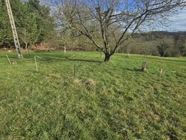 Terrain 3032 m²