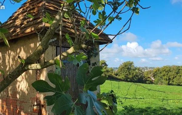 Vente maison le donjon