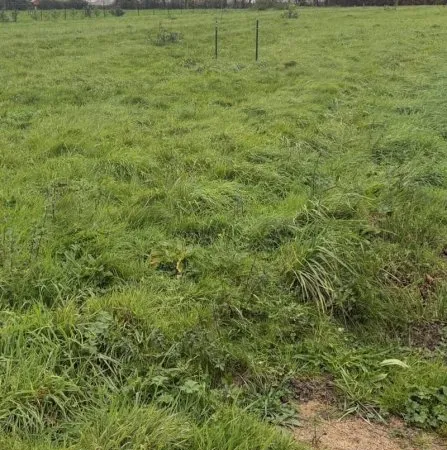 Terrain 2208 m²