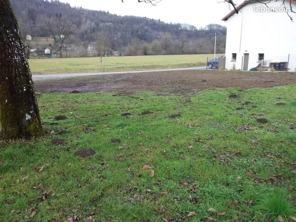 Terrain à construire VOISSANT 38620