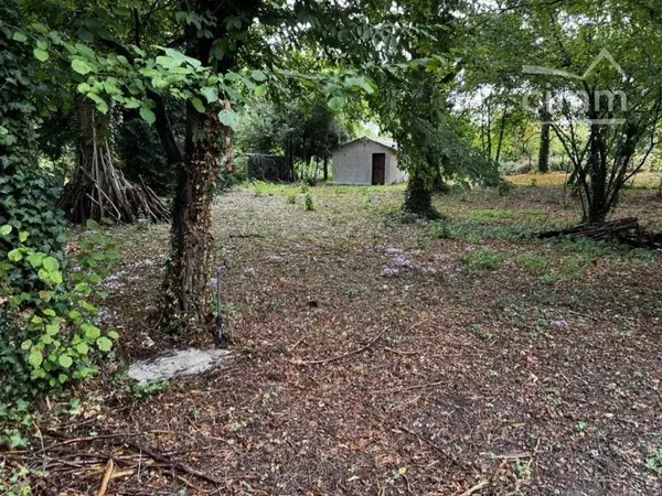 Terrain constructible