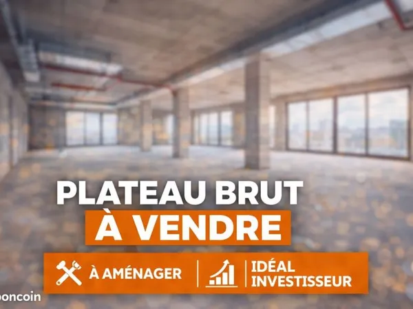 Plateau brut fort potentiel