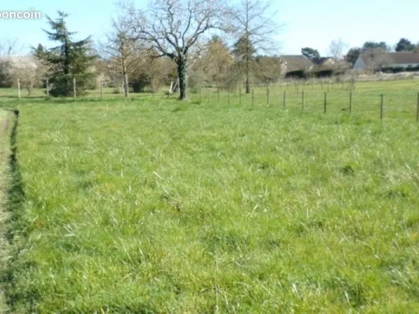 Terrain Saint Georges Sur Cher