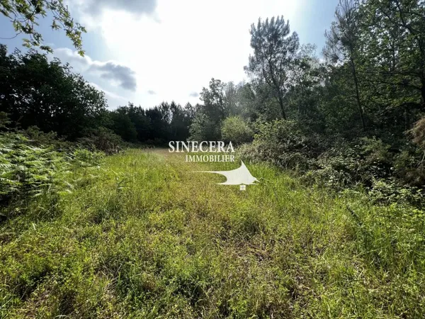 Terrain 9055 m²