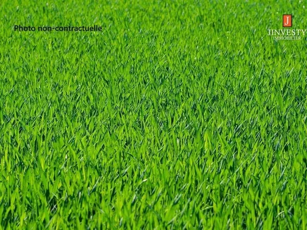 Terrain