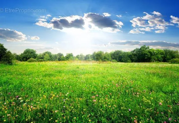 Terrain 500 m²