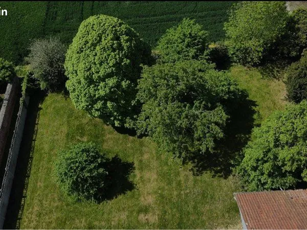 Terrain 1000m2