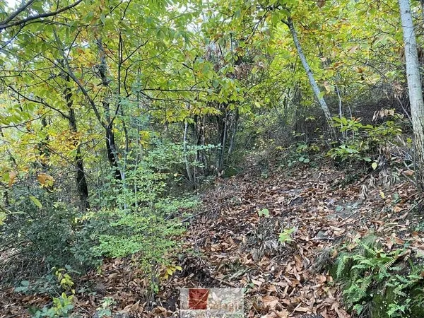 Terrain de loisir