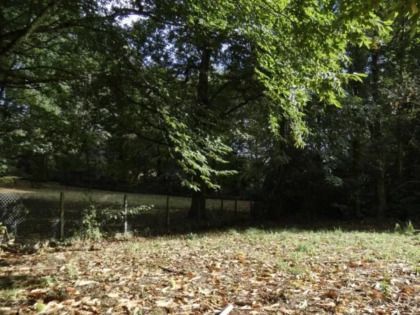 Terrain en individuel 1300 m²