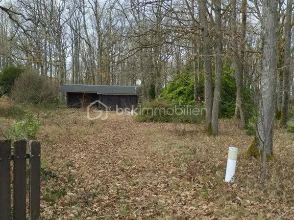 A SAINT FIRMIN DES BOIS