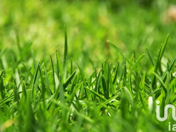 Terrain 877 m²