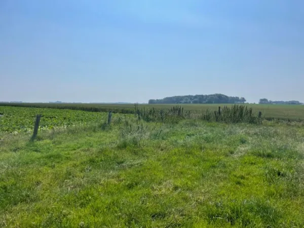Terrain 800 m²