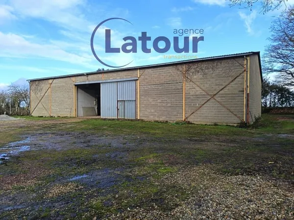 AXE 154 ENTREPOT DE STOCKAGE DE 600M2 AVEC TERRAIN DE 3000M2