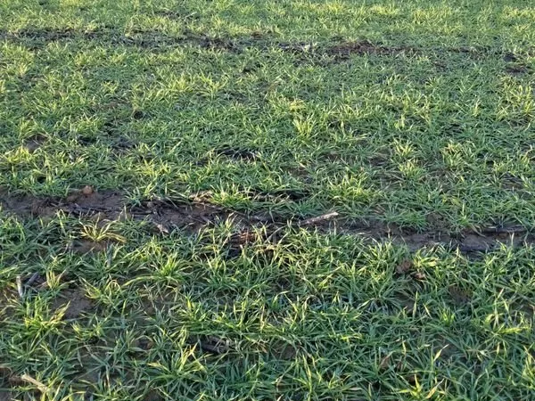 TERRAIN de 2488 m2 : voyez plus grand au même prix
