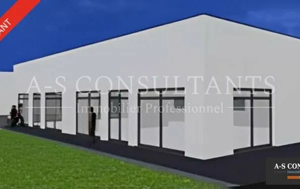 Bureau 250 m²
