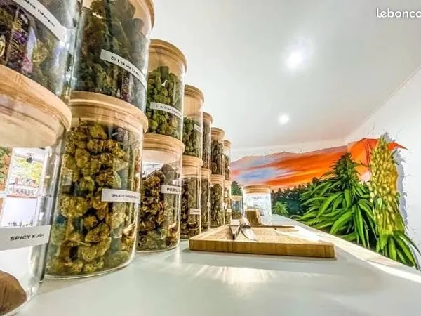 Céder - Fonds de commerce magasin CBD bien connu à Hyères - Excellente réputation