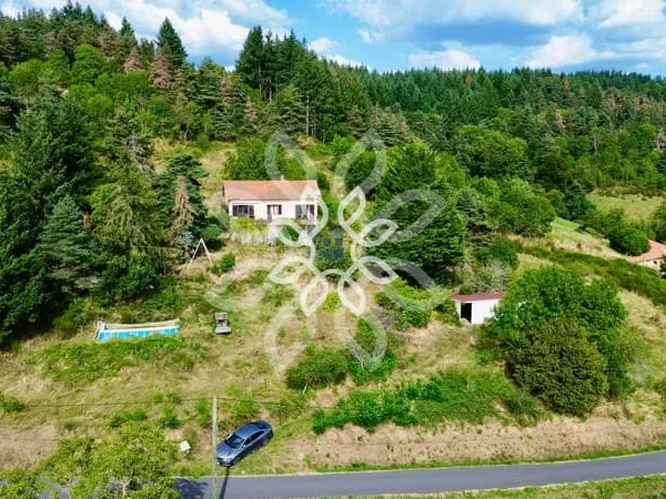 Maison de plain-pied avec superbe vue et grand terrain à Champagnac-le-Vieux