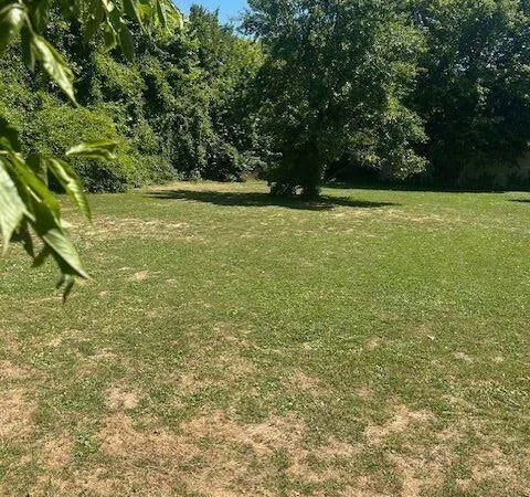 Terrain 601 m²