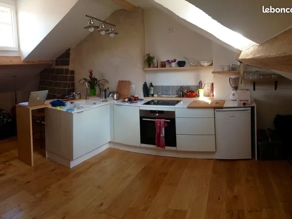 Magnifique studio sous les toits du vieux Grenoble