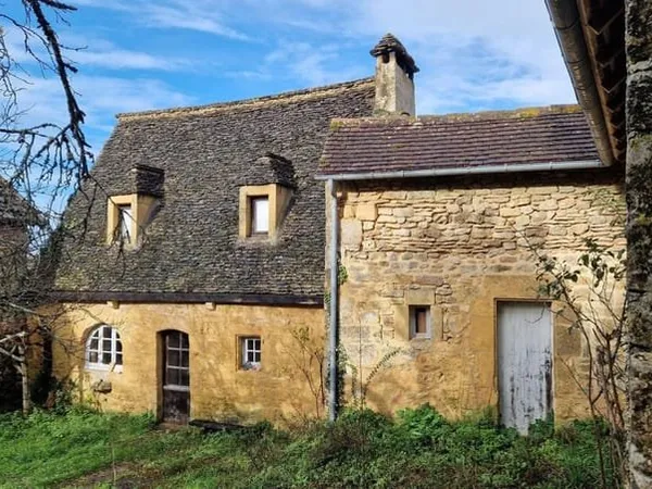 Charmante maison en pierres aux Eyzies avec jardin