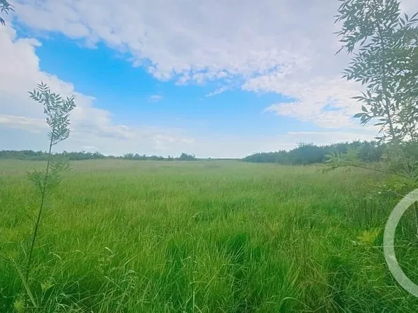 Terrain 9110 m²