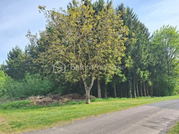 Terrain 4240 m²