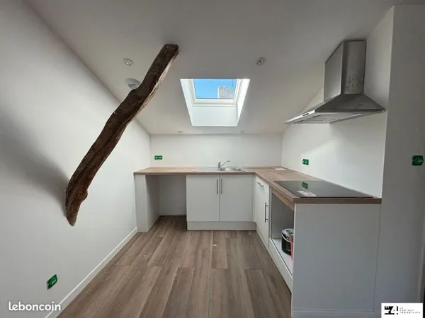 Appartement 1 pièce 20 m²