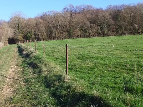 Grand terrain constructible