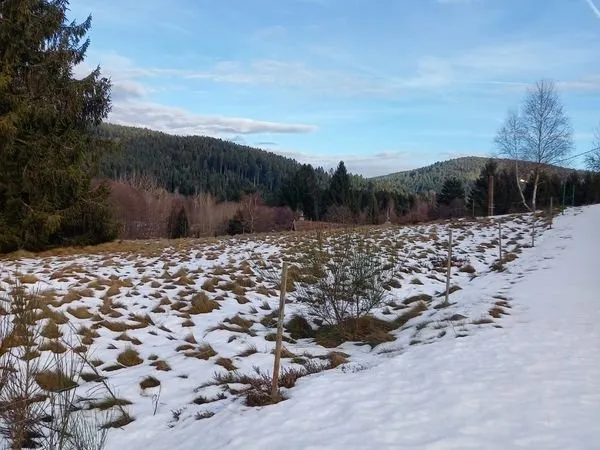 Terrain constructible