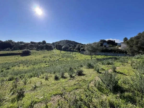 Terrain 1200 m²