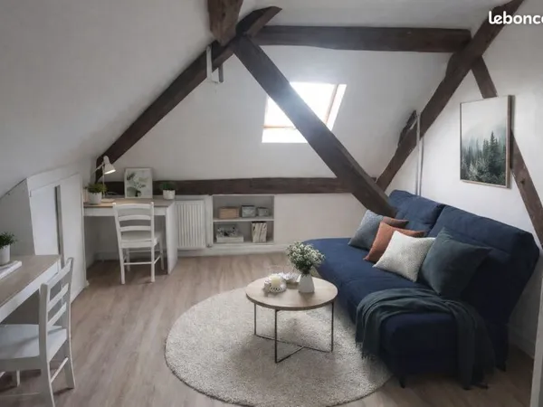Studio meuble 350