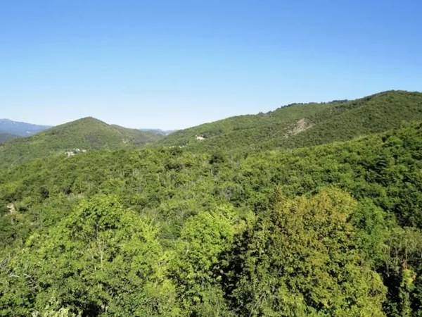 Maison avec vue dégagée et très grand terrain
