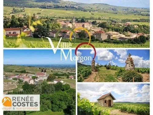 Vente en nue propriété - H75 ans - VILLIE MORGON (69910)