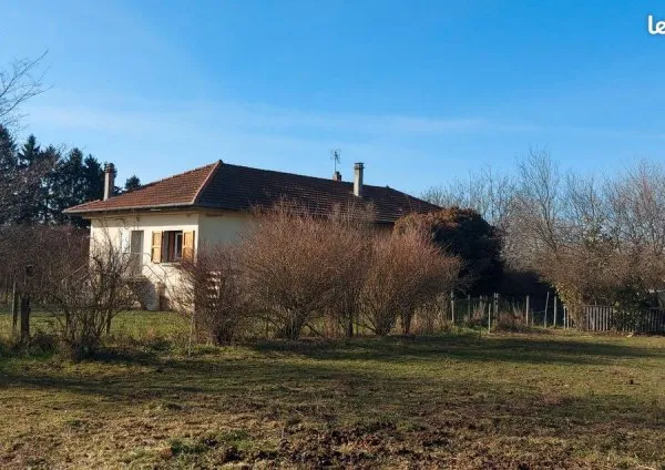 Maison avec grand terrain