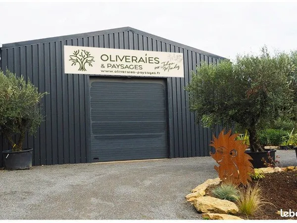 Local industriel 300 m²