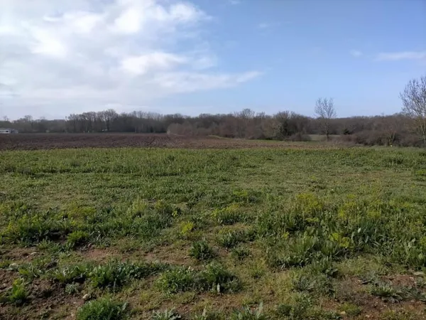 Belle parcelle à construire